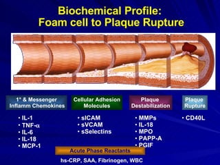 Biochemical Profile:  Foam cell to Plaque Rupture 1 °  & Messenger Inflamm Chemokines IL-1 TNF-  IL-6 IL-18 MCP-1 Cellular Adhesion Molecules sICAM sVCAM sSelectins Acute Phase Reactants hs-CRP, SAA, Fibrinogen, WBC Plaque  Destabilization MMPs IL-18 MPO PAPP-A PGIF Plaque  Rupture CD40L 