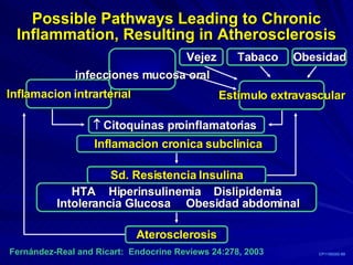 Fern á ndez-Real and Ricart:  Endocrine Reviews 24:278, 2003 Possible Pathways Leading to Chronic Inflammation, Resulting in Atherosclerosis Aterosclerosis Inflamacion intrarterial Vejez Estimulo extravascular Inflamacion cronica subclinica Tabaco Obesidad    Citoquinas proinflamatorias  infecciones mucosa oral CP1158202-69 Sd. Resistencia Insulina HTA  Hiperinsulinemia  Dislipidemia Intolerancia Glucosa  Obesidad abdominal 