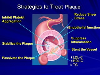 Strategies to Treat   Plaque Inhibit Platelet  Aggregation Stabilize the Plaque Passivate the Plaque LDL-C  HDL-C TG Reduce Sheer  Stress Endothelial function Suppress  Inflammation Stent the Vessel 