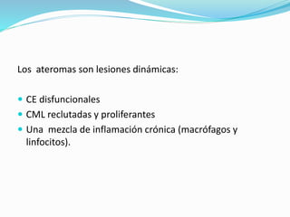 Los ateromas son lesiones dinámicas:
 CE disfuncionales
 CML reclutadas y proliferantes
 Una mezcla de inflamación crónica (macrófagos y
linfocitos).
 