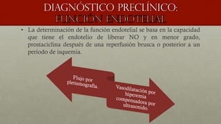Diagnóstico preclínico:
•  La determinación de la función endotelial se basa en la capacidad
que tiene el endotelio de liberar NO y en menor grado,
prostaciclina después de una reperfusión brusca o posterior a un
período de isquemia.
 