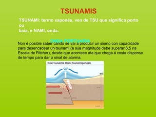TSUNAMIS
TSUNAMI: termo xaponés, ven de TSU que significa porto
ou
baía, e NAMI, onda.

                 ONDA PORTUARIA
Non é posible saber cando se vai a producir un sismo con capacidade
para desencadear un tsunami (a súa magnitude debe superar 6,5 na
Escala de Ritcher), desde que acontece ata que chega á costa disponse
de tempo para dar o sinal de alarma.
 