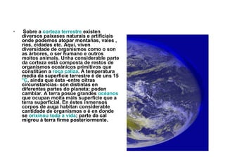 Sobre a  corteza  terrestre  existen diversos paixases naturais e artificiais onde podemos atopar montañas, vales , ríos, cidades etc. Aquí, viven diversidade de organismos como o son as árbores, o ser humano e outros moitos animais. Unha considerable parte da corteza está composta de restos de organismos oceánicos primitivos que constitúen a  roca  caliza . A temperatura media da superficie terrestre é de uns 15  °C , ainda que ésta -entre oitras circunstancias- son distintas en diferentes partes do planeta; poden cambiar. A terra posúe grandes  océanos  que ocupan moita máis superficie que a terra superficial. En éstes inmensos corpos de auga habitan considerable cantidade de organismos e é en donde se  orixinou toda a vida ; parte da cal migrou á terra firme posteriormente. 