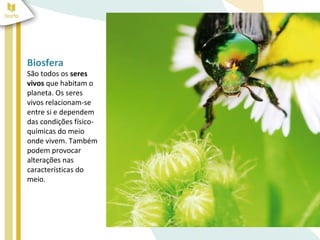 Biosfera
São todos os seres
vivos que habitam o
planeta. Os seres
vivos relacionam-se
entre si e dependem
das condições físico-
químicas do meio
onde vivem. Também
podem provocar
alterações nas
características do
meio.
 