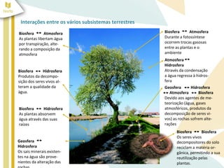 Interações entre os vários subsistemas terrestres
Biosfera       Atmosfera                             Biosfera      Atmosfera
As plantas libertam água                             Durante a fotossíntese
por transpiração, alte-                              ocorrem trocas gasosas
rando a composição da                                entre as plantas e o
atmosfera                                            ambiente
                                                     Atmosfera
                                                     Hidrosfera
Biosfera      Hidrosfera                             Através da condensação
Produtos da decompo-                                 a água regressa à hidros-
sição dos seres vivos al-                            fera
teram a qualidade da                                 Geosfera       Hidrosfera
àgua.                                                   Atmosfera       Biosfera
                                                     Devido aos agentes de me-
                                                     teorização (água, gases
Biosfera      Hidrosfera                             atmosféricos, produtos da
As plantas absorvem                                  decomposição de seres vi-
água através das suas                                vos) as rochas sofrem alte-
raízes                                               rações
                                                           Biosfera      Biosfera
                                                           Os seres vivos
Geosfera                                                   decompositores do solo
Hidrosfera                                                 reciclam a matéria or-
Os sais minerais existen-                                  gânica, permitindo a sua
tes na água são prove-                                     reutilização pelas
nientes da alteração das                                   plantas.
 