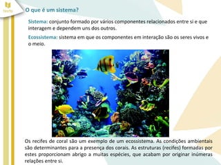O que é um sistema?
 Sistema: conjunto formado por vários componentes relacionados entre si e que
 interagem e dependem uns dos outros.
 Ecossistema: sistema em que os componentes em interação são os seres vivos e
 o meio.




Os recifes de coral são um exemplo de um ecossistema. As condições ambientais
são determinantes para a presença dos corais. As estruturas (recifes) formadas por
estes proporcionam abrigo a muitas espécies, que acabam por originar inúmeras
relações entre si.
 