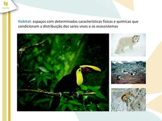 Habitat: espaços com determinadas características físicas e químicas que
condicionam a distribuição dos seres vivos e os ecossistemas
 