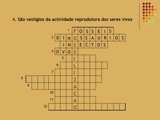 4 . São vestígios da actividade reprodutora dos seres vivos 8 O S S E I S D I N S S A U R I O S I N E C T O S O O V 12 O A 11 Ç 10 A 9 Z I 7 L 6 I 5 S 4 S O 2 F 1 