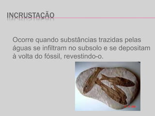 INCRUSTAÇÃO
Ocorre quando substâncias trazidas pelas
águas se infiltram no subsolo e se depositam
à volta do fóssil, revestindo-o.
 