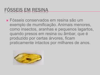 FÓSSEIS EM RESINA
 Fósseis conservados em resina são um
exemplo de mumificação. Animais menores,
como insectos, aranhas e pequenos lagartos,
quando presos em resina ou âmbar, que é
produzido por certas árvores, ficam
praticamente intactos por milhares de anos.
 