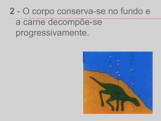 2 - O corpo conserva-se no fundo e
a carne decompõe-se
progressivamente.
 