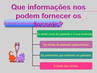 Os fósseis podem fornecer informações sobre:
Os seres vivos do passado e a sua evolução;
Os climas do passado (paleoclimas);
Os ambientes que existiram no passado;
A idade das rochas.
 
