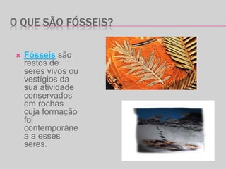 O QUE SÃO FÓSSEIS?
 Fósseis são
restos de
seres vivos ou
vestígios da
sua atividade
conservados
em rochas
cuja formação
foi
contemporâne
a a esses
seres.
 