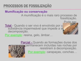 PROCESSOS DE FOSSILIZAÇÃO
Mumificação ou conservação
A mumificação é o mais raro processo de
fossilização.
Pode ser:
Total - Quando o ser vivo é envolvido por uma
substância impermeável que impede a sua
decomposição.
Por exemplo: resina, gelo, âmbar…
Parcial - Quando as formações duras dos
organismos permanecem incluídas nas rochas por
resistirem à decomposição.
Por exemplo: carapaças, conchas…
 