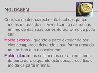 MOLDAGEM
Consiste no desaparecimento total das partes
moles e duras do ser vivo, ficando nas rochas
um molde das suas partes duras. O molde pode
ser:
Molde externo - quando a parte exterior do ser
vivo desaparece deixando a sua forma gravada
nas rochas que o envolveram.
Molde interno - os sedimentos entram no interior
da parte dura e quando esta desaparece fica o
molde da parte interna.
 