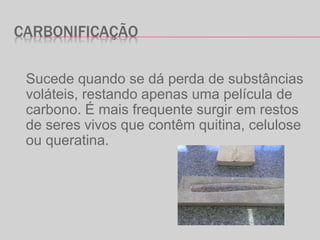 CARBONIFICAÇÃO
Sucede quando se dá perda de substâncias
voláteis, restando apenas uma película de
carbono. É mais frequente surgir em restos
de seres vivos que contêm quitina, celulose
ou queratina.
 