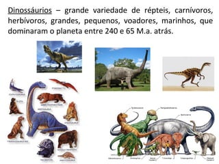 Dinossáurios – grande variedade de répteis, carnívoros, 
herbívoros, grandes, pequenos, voadores, marinhos, que 
dominaram o planeta entre 240 e 65 M.a. atrás. 
 