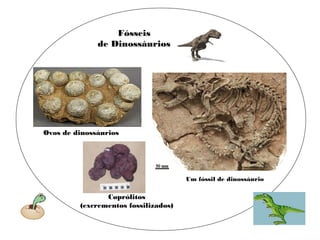 Fósseis 
de Dinossáurios 
Ovos de dinossáurios 
Coprólitos 
(excrementos fossilizados) 
Um fóssil de dinossáurio 
 