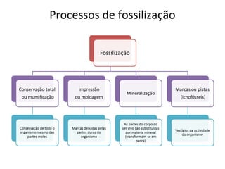 Processos de fossilização 
 