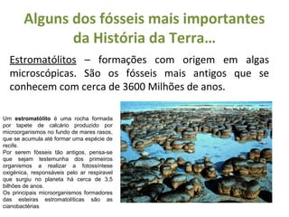 Alguns dos fósseis mais importantes 
da História da Terra… 
Estromatólitos – formações com origem em algas 
microscópicas. São os fósseis mais antigos que se 
conhecem com cerca de 3600 Milhões de anos. 
Um estromatólito é uma rocha formada 
por tapete de calcário produzido por 
microorganismos no fundo de mares rasos, 
que se acumula até formar uma espécie de 
recife. 
Por serem fósseis tão antigos, pensa-se 
que sejam testemunha dos primeiros 
organismos a realizar a fotossíntese 
oxigénica, responsáveis pelo ar respiravel 
que surgiu no planeta há cerca de 3,5 
bilhões de anos. 
Os principais microorganismos formadores 
das esteiras estromatolíticas são as 
cianobactérias 
 