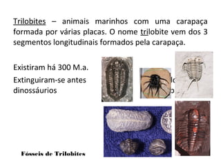 Trilobites – animais marinhos com uma carapaça 
formada por várias placas. O nome trilobite vem dos 3 
segmentos longitudinais formados pela carapaça. 
Existiram há 300 M.a. 
Extinguiram-se antes dos 
dinossáurios terem aparecido. 
Fósseis de Trilobites 
 