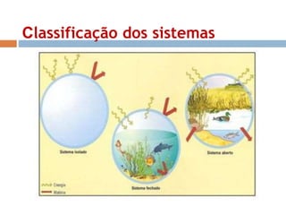 Classificação dos sistemas 
 