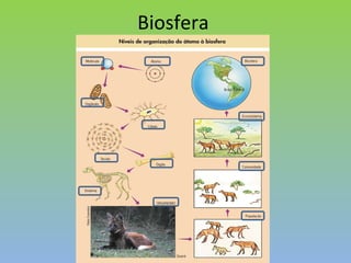 Biosfera 