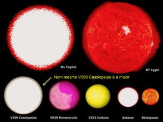 A Terra e o Universo