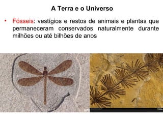 A Terra e o Universo
• Fósseis: vestígios e restos de animais e plantas que
permaneceram conservados naturalmente durante
milhões ou até bilhões de anos
 