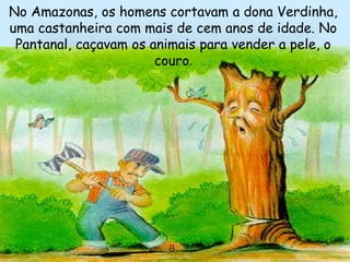 No Amazonas, os homens cortavam a dona Verdinha,
uma castanheira com mais de cem anos de idade. No
Pantanal, caçavam os animais para vender a pele, o
couro.
 