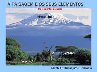 A PAISAGEM E OS SEUS ELEMENTOS
                 Os elementos naturais



                 Montanha




                                         Árvores
                                         .
     Vegetação                           .

                            Monte Quilimanjaro - Tanzânia
 