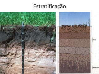 Estratificação
 
