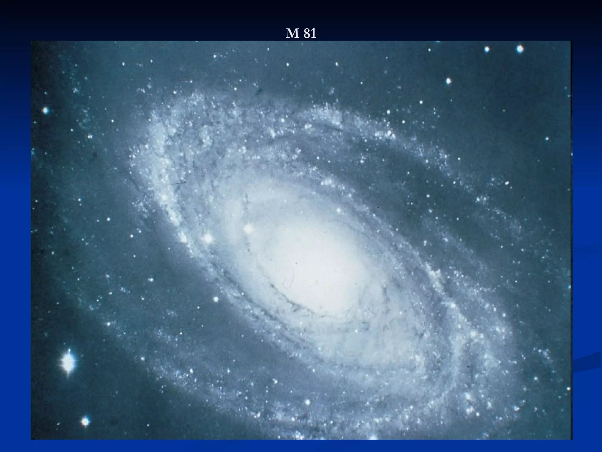 M 81 