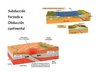 Límites ou bordos de placas
Bordos pasivos, transformantes ou neutros
Interacción entre dúas placas que se deslizan sen compresión nin
distensión (desprazamento lateral das placas).
Correspóndense topográficamente coas fallas transformantes
(orixe: diferenzas na velocidade de distintos puntos dunha
misma placa)
Non se crea nin se destrúe codia.
Intensa actividade sísmica.
A falla transformante máis famosa é a de San Andrés que
implica á placa Pacífica e á Norteamericana.
 