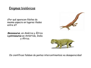 ¿Por qué aparecen fósiles da
mesma especie en lugares illados
entre sí?
Mesosaurus, en América y África
Lystrosaurus en Antártida, India
y África.
Os científicos falaban de pontes intercontinentais xa desaparecidos!
Enigmas biolóxicos
 