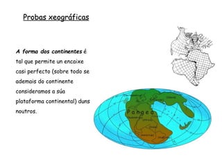 Probas xeográficas
A forma dos continentes é
tal que permite un encaixe
casi perfecto (sobre todo se
ademais do continente
consideramos a súa
plataforma continental) duns
noutros.
 