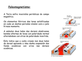 Paleomagnetismo:
A Terra sofre inversións periódicas do campo
magnético.
Os elementos férricos das lavas solidificadas
en cada un destes periodos sinalan cara o polo
N nese momento.
A ambolos dous lados das dorsais obsérvanse
bandas alternas de lavas con polaridade normal
alternándose con otras de polaridade invertida.
Esto indica que a codia crease nos dous lados
da dorsal apoiando a idea dunha expansión dos
fondo oceánicos con orixe nas dorsais
oceánicas.que tenía la Tierra en ese momento
 