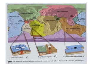 Límites ou bordos de placas
Bordes construtivos, diverxentes ou de separación:
As dúas placas tenden a separarse.
Son as dorsais oceánicas e os rift continentais.
As dorsais presentan unha depresión tectónica central
(rift) onde a delgadez da litosfera é máxima o que facilita a
formación de magmas astenosféricos por descompresión.
Intensa actividade magmática.
A consolidación do magma orixina novo solo oceánico
(basalto).
Son zonas de alta actividade sísmica (fallas normales).
 