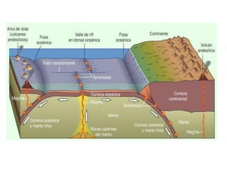 Bordos destructivos-Zona de Subducción
A medida que unha placa oceánica envellece (e se alonxa dunha
dorsal) vai adquiriendo maior densidade porque se adhire ás
capas superiores do manto. Este aumento de densidade provoca
a subducción, é decir, o afundimento da placa que pode ocorrer
de dous xeitos:
Subducción espontánea
Subducción forzada
 