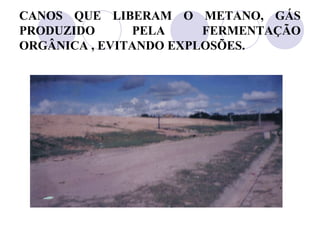 CANOS QUE LIBERAM O METANO, GÁS
PRODUZIDO      PELA     FERMENTAÇÃO
ORGÂNICA , EVITANDO EXPLOSÕES.
 