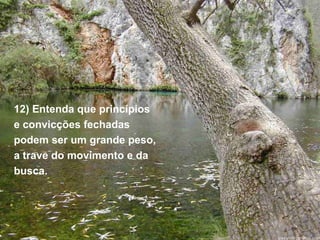 12) Entenda que princípios
e convicções fechadas
podem ser um grande peso,
a trave do movimento e da
busca.
 