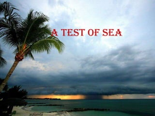 a test of sea




automta
 