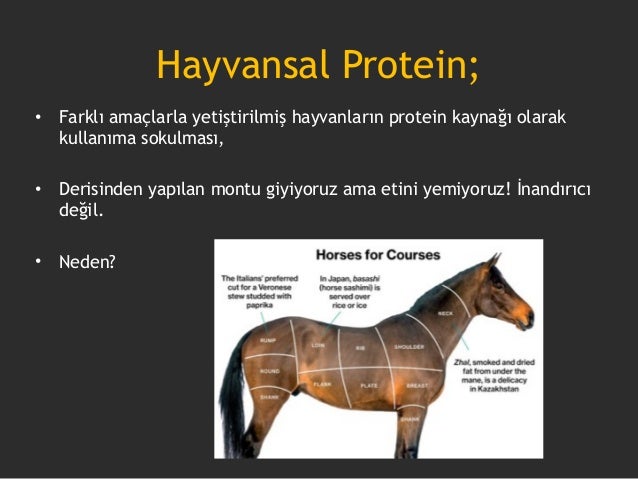 Gastronomika CoffeeTalk/İkram 2 At Eti ve Sütü