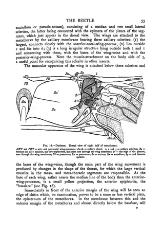 A text book of practical entomology ( pdf drive ) | PDF