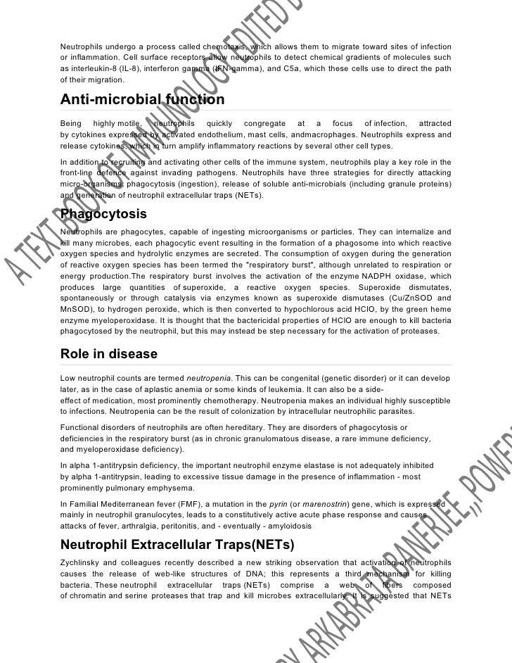 Leukemia Argumentative Paper✏️ » Report writing services