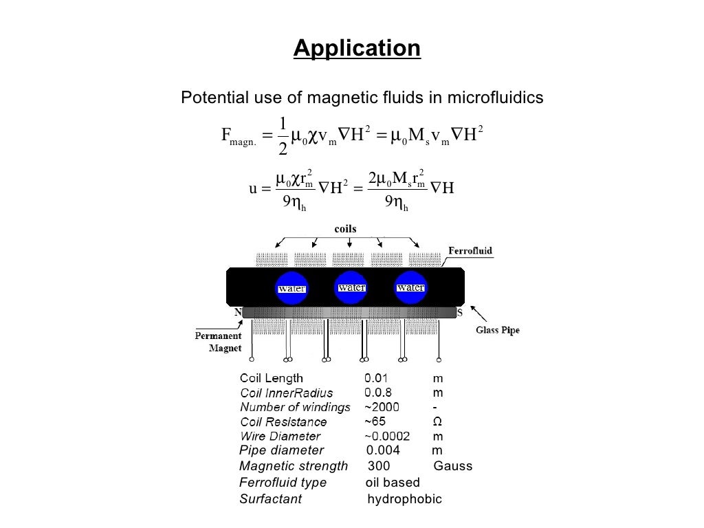 fluid vs magnetic trainer