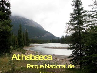 Athabasca   Parque Nacional de Jasper 