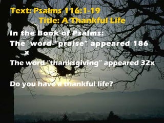 Text: Psalms 116:1-19 
Title: A Thankful Life 
In the Book of Psalms: 
The word “praise” appeared 186 
x 
The word “thanksgiving” appeared 32x 
Do you have a thankful life? 
 