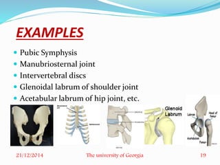 Symphysis Examples cartilage | PPTX
