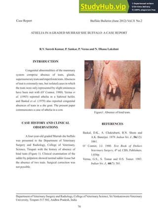70
Case Report Buffalo Bulletin (June 2012) Vol.31 No.2
INTRODUCTION
Congenital abnormalities of the mammary
system comprise absence of teats, glands,
supernumeraryteatsandimperforateteats.Absences
of teat is extremely rare, but isolated cases in which
the teats were only represented by slight eminences
have been met with (O’ Connor, 1980). Verma et
al. (1983) reported athelia in a Sahiwal heifer,
and Baskal et al. (1979) also reported congenital
absences of teats in a she goat. The present paper
communicates a case of athelia in a cow.
CASE HISTORY AND CLINICAL
OBSERVATIONS
A four-year-old graded Murrah she buffalo
was presented to the Department of Veterinary
Surgery and Radiology, College of Veterinary,
Science, Tirupati with the history of absence of
hind teats (Figure 1). Clinical examination of the
udder by palpation showed normal udder tissue but
the absence of two teats. Surgical correction was
not possible.
REFERENCES
Baskal, D.K., A. Chakrabarti, R.N. Shom and
A.K. Banerjee. 1979. Indian Vet. J., 56(12):
1061.
O’ Connor, J.J. 1980. Text Book of Dollars
Veterinary Surgery, 4th
ed. CBS, Publishers.
1,036p.
Verma, G.S., S. Tomar and O.S. Tomer. 1983.
Indian Vet. J., 60(7): 581.
ATHELIA IN A GRADED MURRAH SHE BUFFALO: A CASE REPORT
R.V. Suresh Kumar, P. Sankar, P. Veena and N. Dhana Lakshmi
Department of Veterinary Surgery and Radiology, College of Veterinary Science, Sri Venkateswara Veterinary
University, Tirupati-517 502, Andhra Pradesh, India
Figure1. Absence of hind teats.
 
